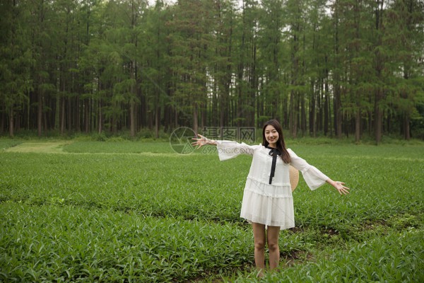 武汉汉口区，外卖茶香飘满城